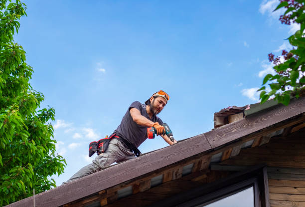 Reliable South Bradenton, FL Roofing servicies Solutions